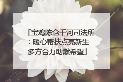 宝鸡陈仓千河司法所：暖心帮扶点亮新生 多方合力助燃希望